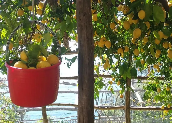 Apartamento Casa Emi *