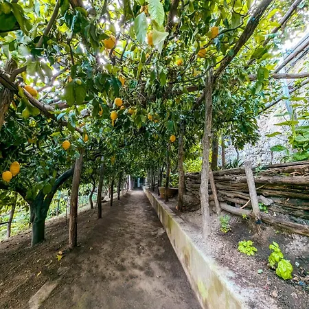 Casa Emi Apartment *